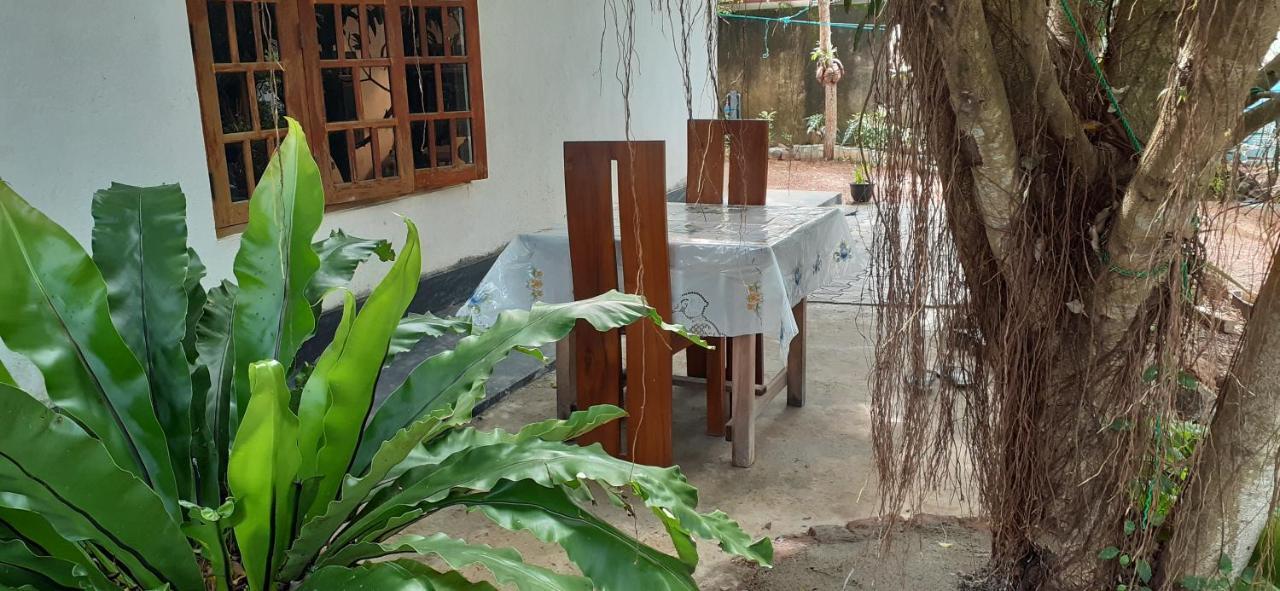 Bisandu Guesthouse ミリッサ エクステリア 写真